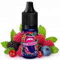 Difuzoru aromātiskais koncentrāts / Big Mouth Classical, Chill Berry, 10ml