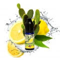 Difuzoru aromātiskais koncentrāts / Big Mouth Retro Juice, Lemon and Cactus, 10ml